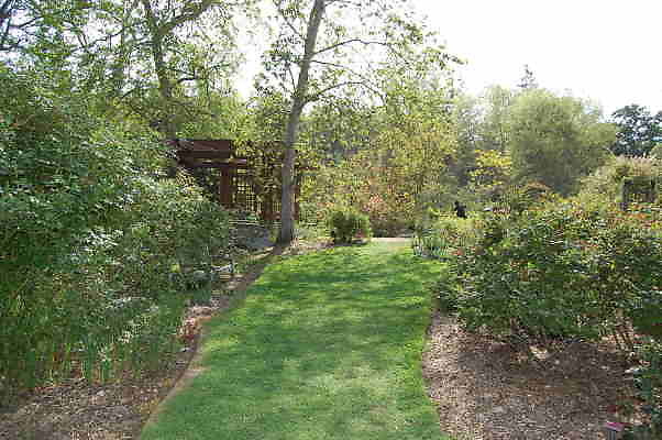 DSC 0381