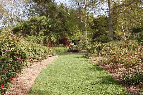DSC 0378