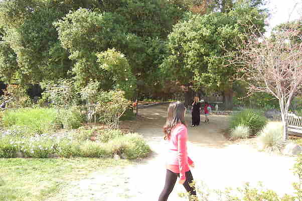 DSC 0365