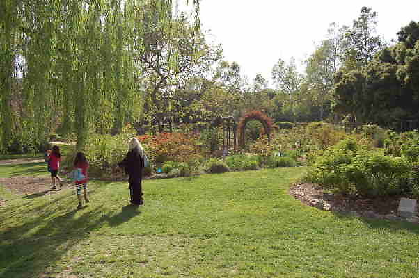 DSC 0368