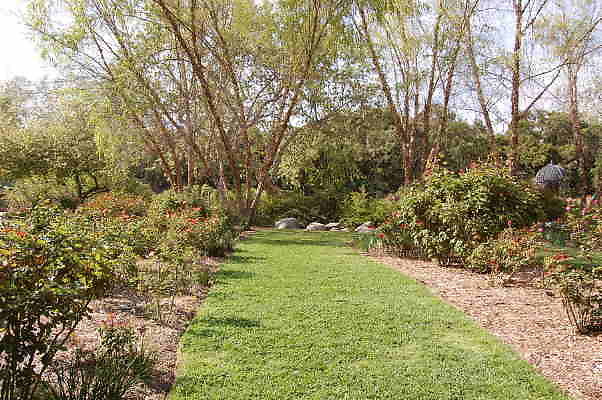 DSC 0379