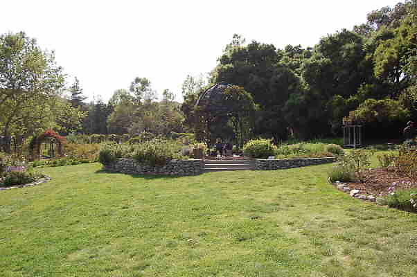 DSC 0361