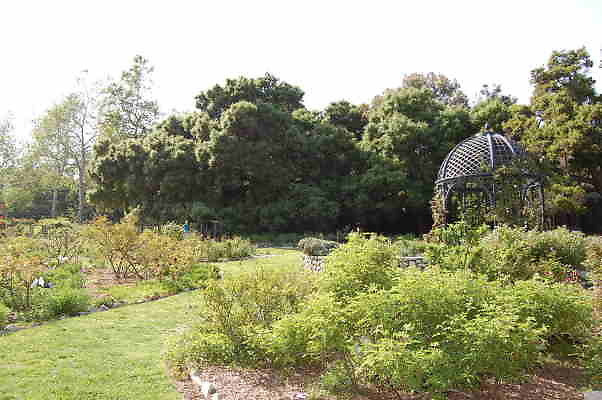 DSC 0370