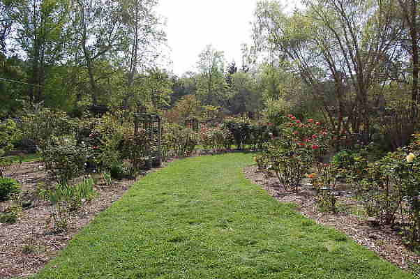 DSC 0377