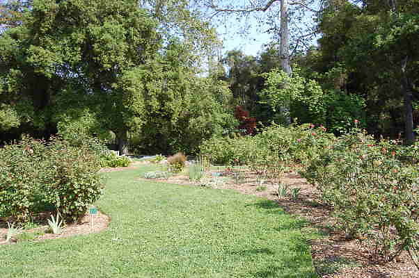 DSC 0376