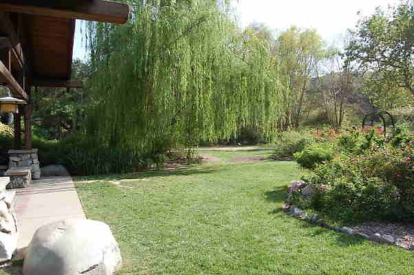 DSC 0366