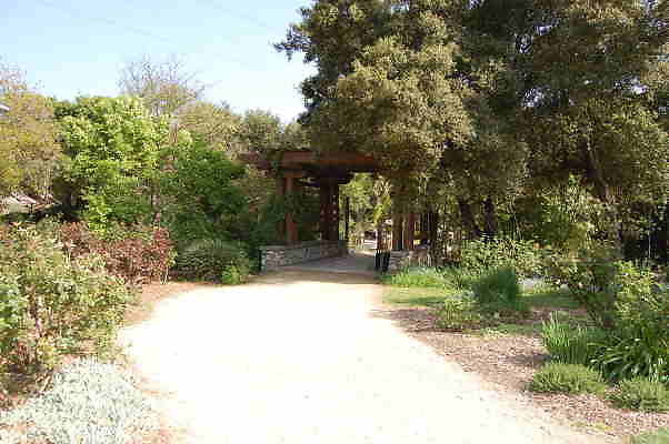 DSC 0348