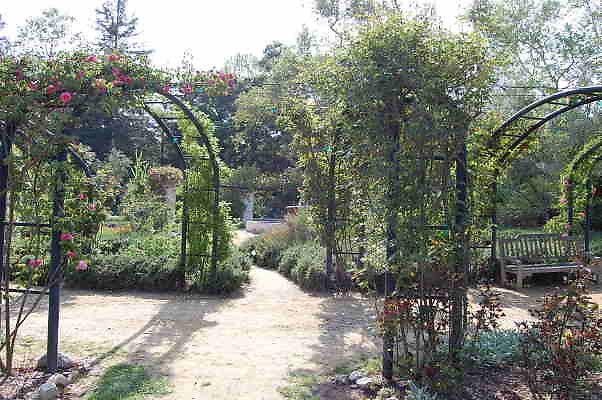 DSC 0387