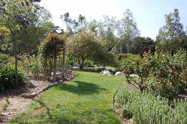 DSC 0383