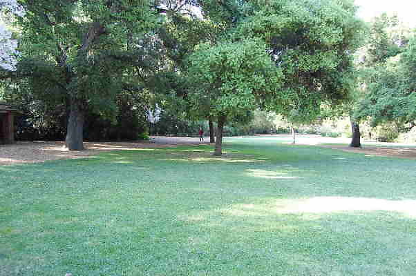 Main Lawn.Descano Gardens