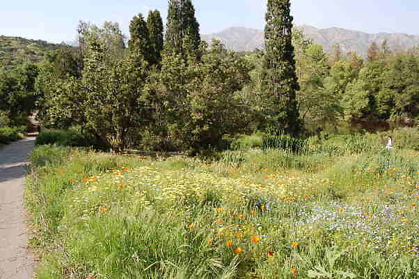 DSC 0440