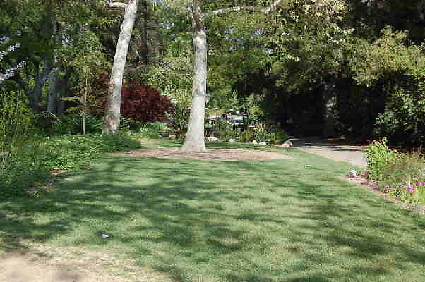 DSC 0422