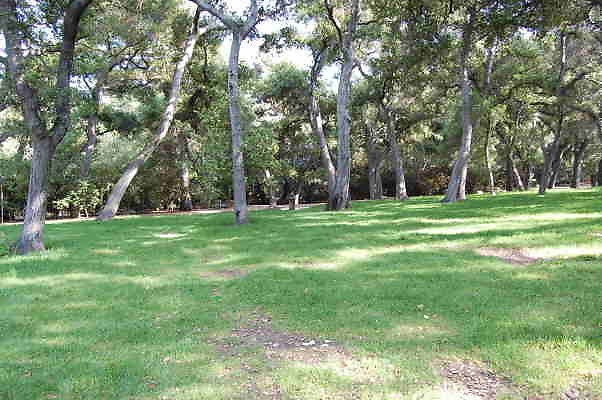 DSC 0426