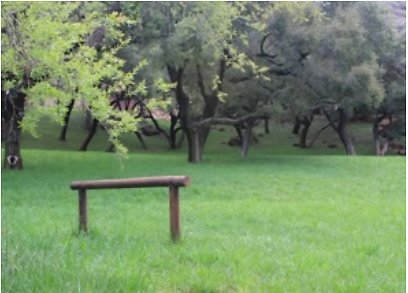 Canyon.Ranch.Trees.Grass.Forest20 Canyon.Ranch.Trees.Grass.Forest20