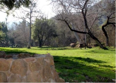 Canyon.Ranch.Trees.Grass.Forest04 Canyon.Ranch.Trees.Grass.Forest04