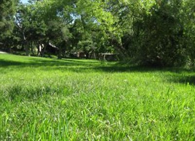 Canyon.Ranch.Trees.Grass.Forest25 Canyon.Ranch.Trees.Grass.Forest25