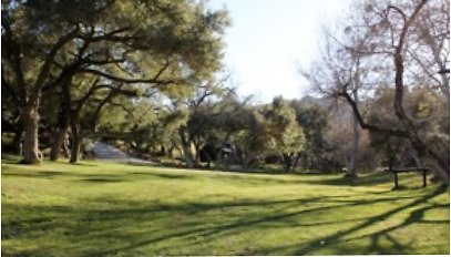 Canyon.Ranch.Trees.Grass.Forest18 Canyon.Ranch.Trees.Grass.Forest18