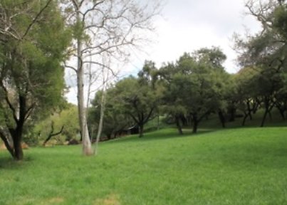 Canyon.Ranch.Trees.Grass.Forest21 Canyon.Ranch.Trees.Grass.Forest21