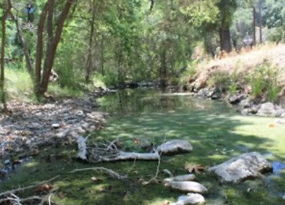 Canyon.Ranch.Creek22