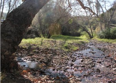 Canyon.Ranch.Creek08