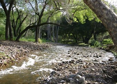 Canyon.Ranch.Creek12