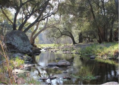 Canyon.Ranch.Creek06
