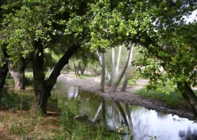 Canyon.Ranch.Creek07
