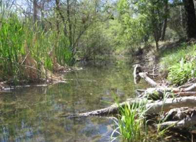 Canyon.Ranch.Creek24