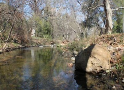 Canyon.Ranch.Creek04