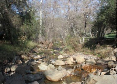 Canyon.Ranch.Creek03