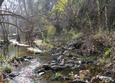 Canyon.Ranch.Creek05