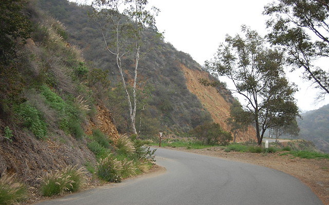 DSC 0181