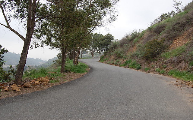 DSC 0335