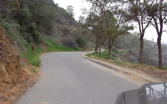 DSC 0199