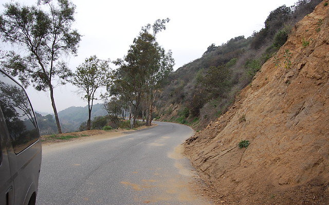 DSC 0201