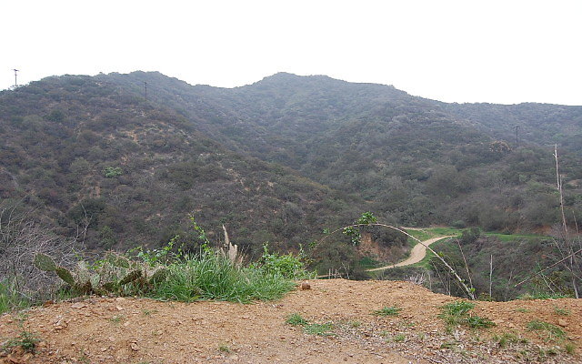 DSC 0197