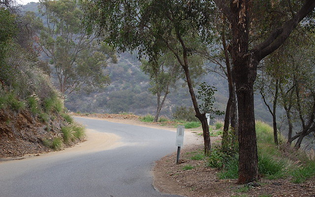 DSC 0193