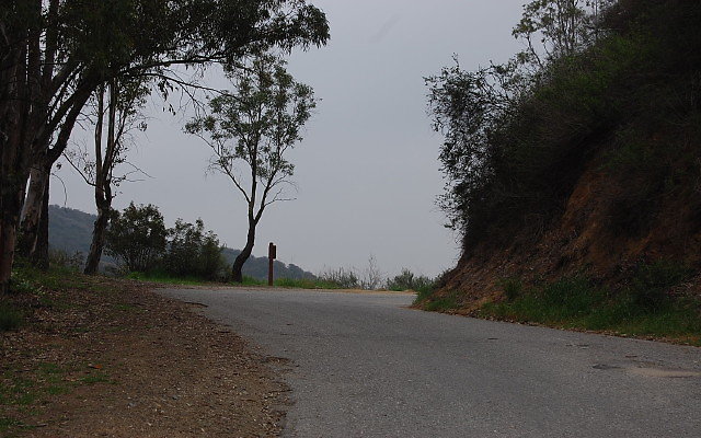 DSC 0319