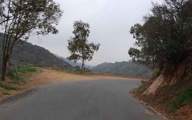 DSC 0333