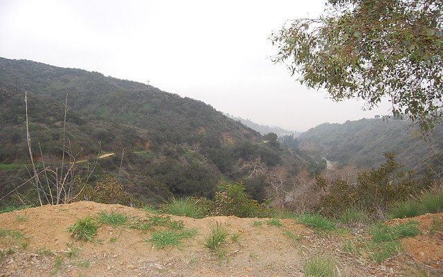 DSC 0198