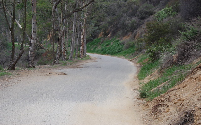 DSC 0321