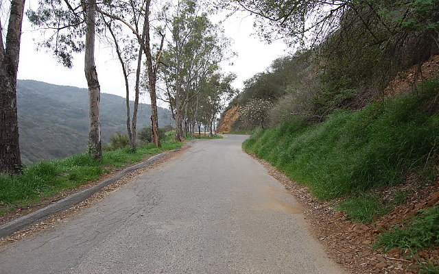 DSC 0202