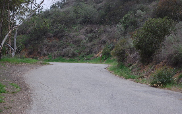 DSC 0318