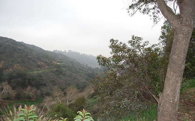 DSC 0187