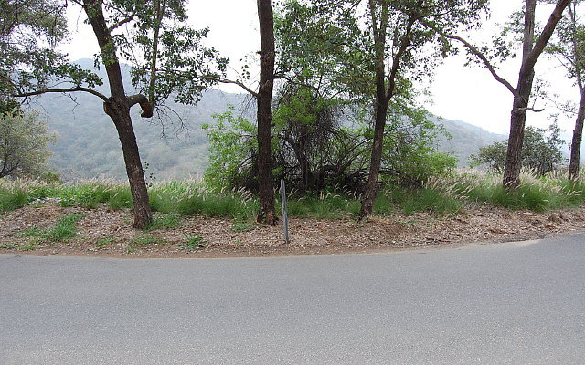 DSC 0191