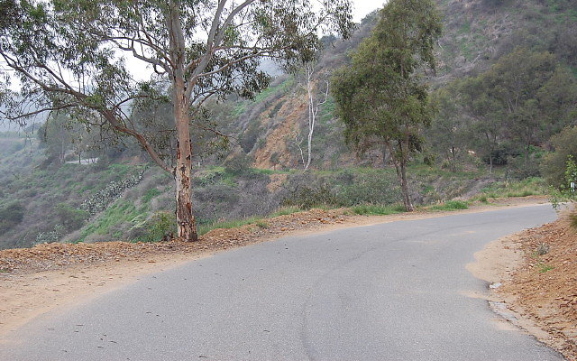 DSC 0194