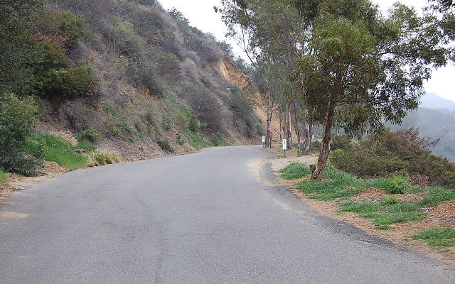 DSC 0195