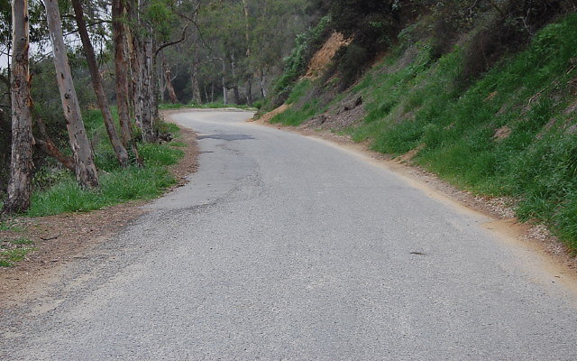 DSC 0322