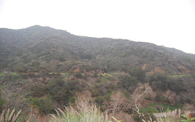 DSC 0186