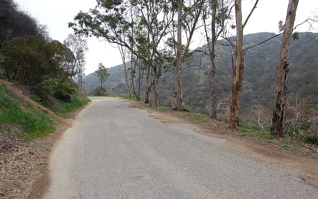 DSC 0209